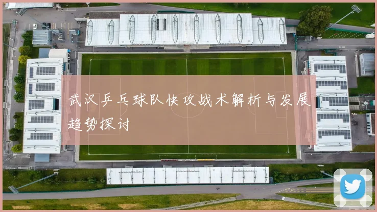 武汉乒乓球队快攻战术解析与发展趋势探讨