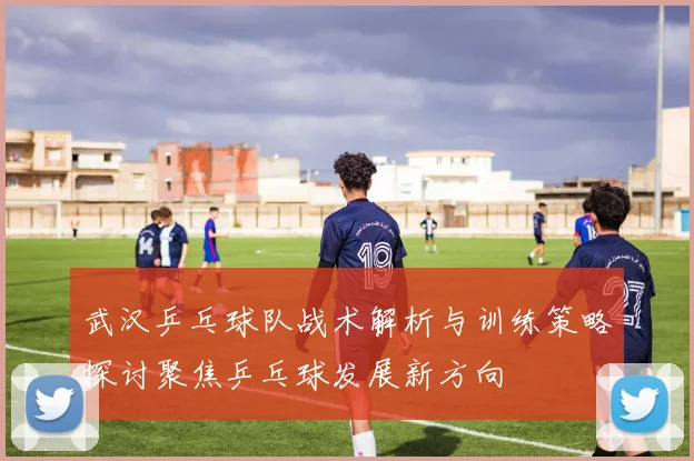 武汉乒乓球队战术解析与训练策略探讨聚焦乒乓球发展新方向