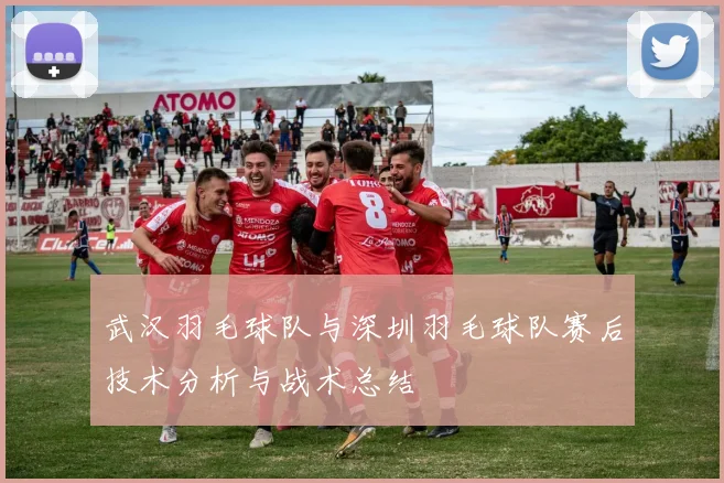 武汉羽毛球队与深圳羽毛球队赛后技术分析与战术总结