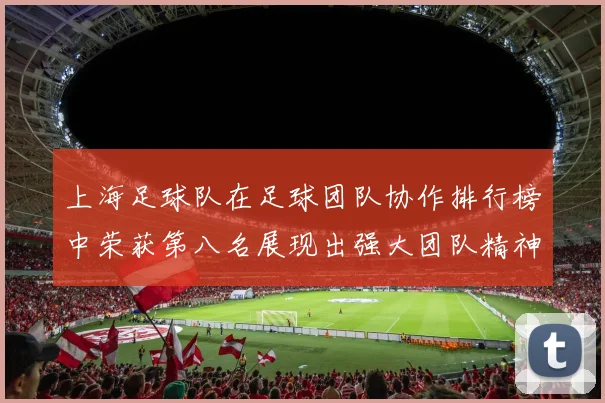上海足球队在足球团队协作排行榜中荣获第八名展现出强大团队精神与默契配合
