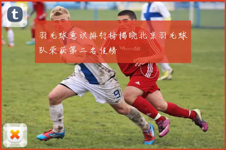 羽毛球意识排行榜揭晓北京羽毛球队荣获第二名佳绩