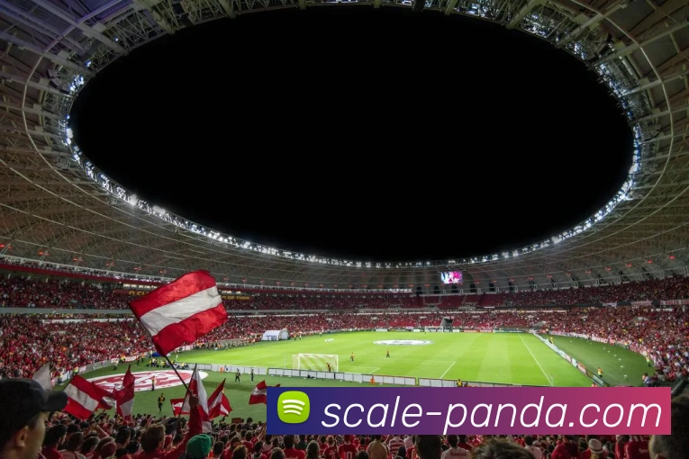 熊猫体育发展历程